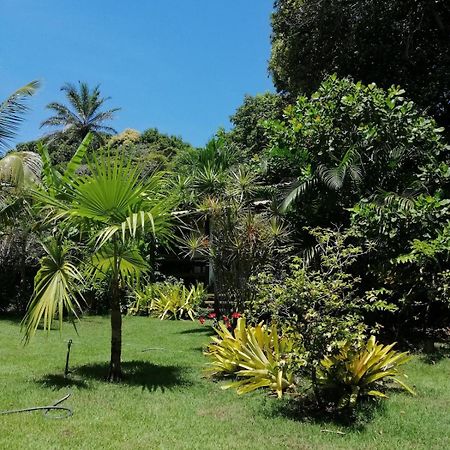 Privacidade, Sossego E Axe Em Taipu De Fora บาร์ฮากรันเจ ภายนอก รูปภาพ